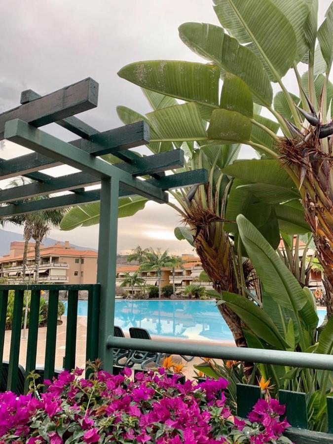 Apartament Piso Jardines Del Teide En El Puerto De La Cruz Zewnętrze zdjęcie