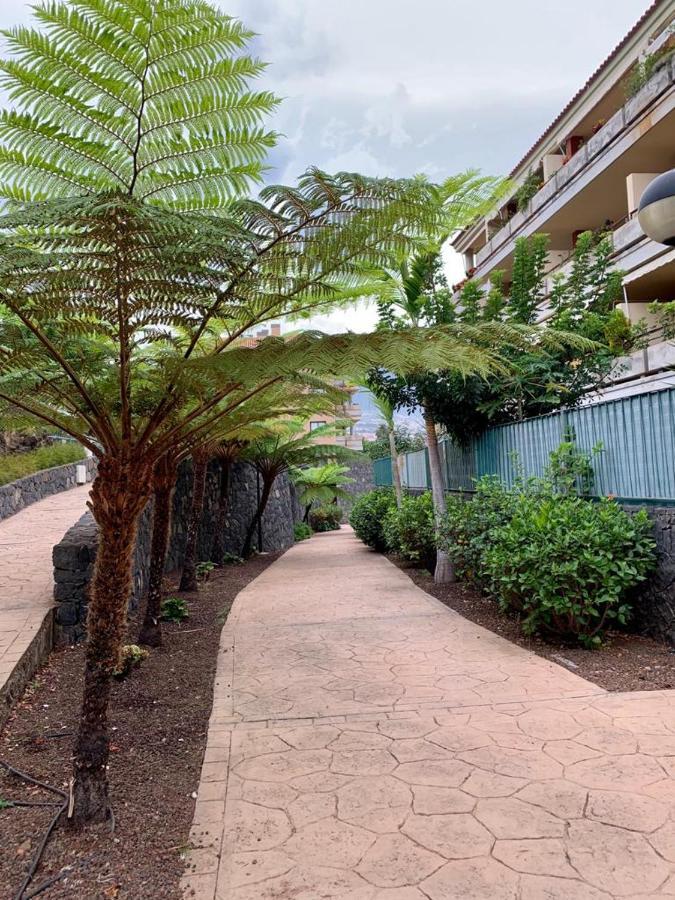 Apartament Piso Jardines Del Teide En El Puerto De La Cruz Zewnętrze zdjęcie